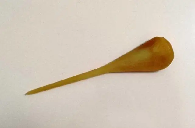 hueso de cala