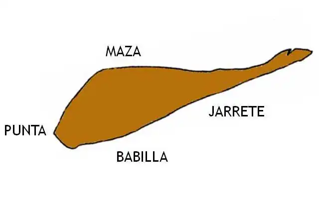 partes de un jamon